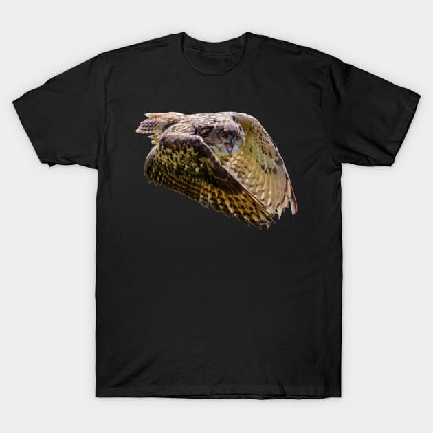 Owls Birds Tee Present T-Shirt Bird Nature T-Shirt by gdimido